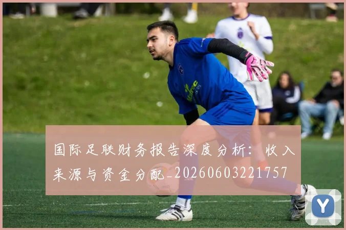 国际足联财务报告深度分析：收入来源与资金分配_20260603221757